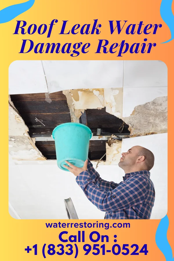 Roof Leak Water Damage Repair in Ridge Wood Heights, FL